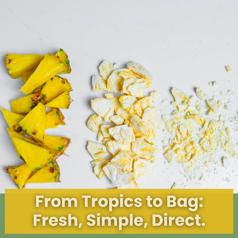 1oz Packs 100% Wise Harvest Freeze-Dried Tropical Fruit Bundle - Six | Single Ingredient Snack | Real Fruit, No Sugar