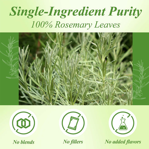 100 Count,100% WT WEETEE Rosemary Leaf Tea Bags Caffeine-Free Herbal Tea Made from Pure Rosemary Leaves, Supports