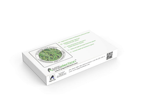 Pack 12 (12 Pack) Yogurt Starter Cultures - of Freeze-Dried Sachets for Lactobacillus Rhamnosus and L.Gasseri Yogurt