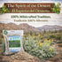 4 oz (113g) 100% Ajenjo Herbal Tea Natural Mexican Herb Wildcrafted Wormwood Vegan, Non-GMO Loose Leaf Herbal Infusion
