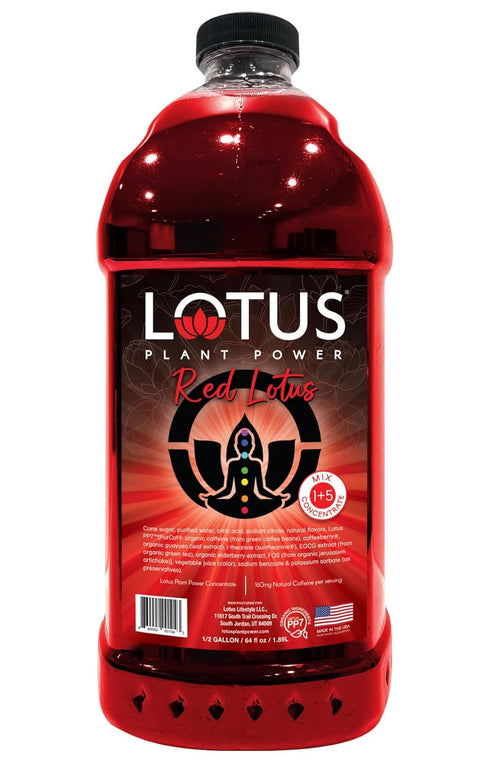Lotus Plant Power Red Lotus Plant Energy Drink Concentrate | Pure Cane Sugar | 64