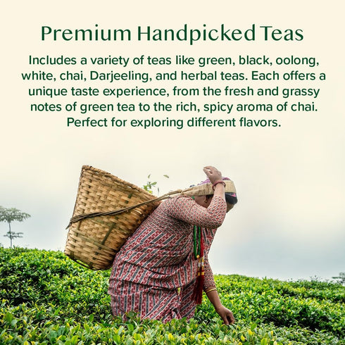 20 Set (100+ Pack VAHDAM World Top Favourites Tea Sampler | Loose Leaf Tea Cups) | Tea Variety with Green, Herbal