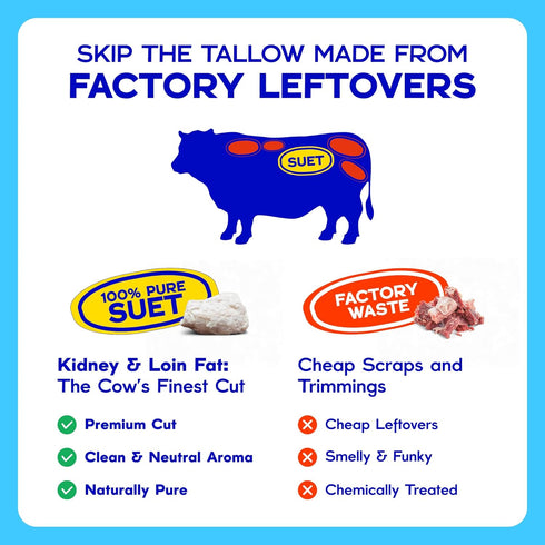 100% 2 Pack 14oz Fat Brothers Original Grass-Fed Beef Tallow, USA Made and Sourced, Suet, Jars, No Added Hormones