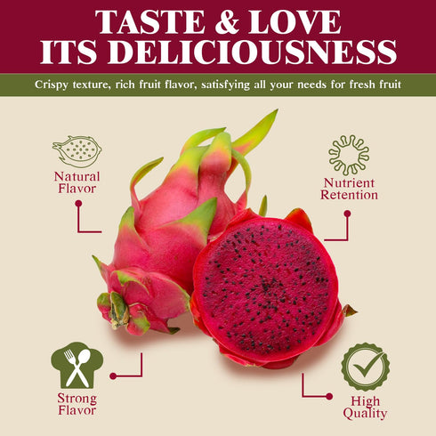 15g Himalayan Chef Freeze-Dried Dragon Fruit | Organic Dried Fruits Snacks, Healthy Snack for Kids & Adults
