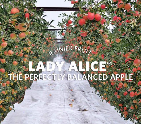 Fresh Produce Organic Lady Alice Apple