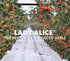 Fresh Produce Organic Lady Alice Apple