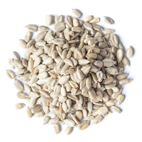 5 Food to Live Sunflower Seeds, Pounds Non-GMO Verified, Kernels, No Shell, Kosher, Raw, Vegan, Sirtfood, Bulk