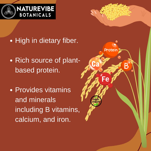 5 lb 100% 80 Naturevibe Botanicals Brown Teff Flour | Whole Grain & Gluten-Free | Finely Ground High Fiber & Plant