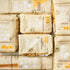 878 100% (1 LB. Pastificio Bragagnolo, Paccheri Lisci Bronze-Drawn, Italian Pasta, Made with Durum Wheat Semolina