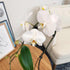 5" 22"+ Large White Live Orchids Blooming in Blue & White Orchid Pot, Pet Friendly Live Plant Gifts for Plant Lovers
