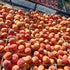 Harvest Peach Cobbler Jam by Pioneer Valley