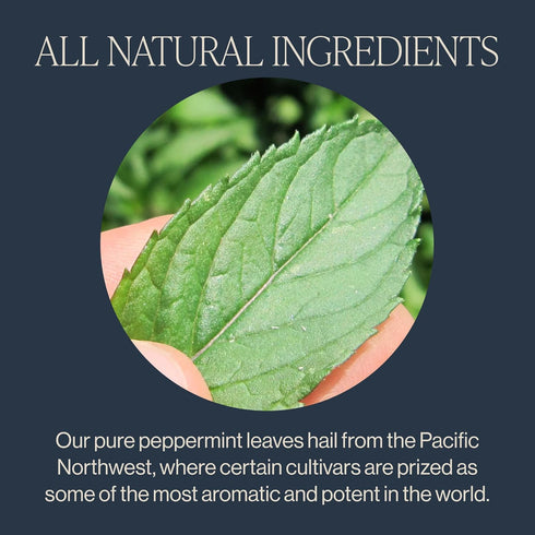 50 Count Rishi Tea Peppermint Herbal Tea - Organic, Caffeine Free Sachet Bags, Calming Sweet & Cooling Pure Peppermint