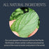 50 Count Rishi Tea Peppermint Herbal Tea - Organic, Caffeine Free Sachet Bags, Calming Sweet & Cooling Pure Peppermint