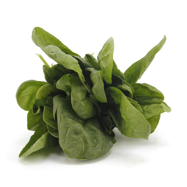 Fresh Produce Spinach Bag Conventional, 10 Ounce