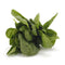 Fresh Produce Spinach Bag Conventional, 10 Ounce
