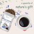 2lbs Organic French Chicory Root, | Roasted Chicory Granule | Brews like Regular Coffee | Caffeine Free Coffee
