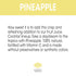 20 Oz (Pack 12) AriZona Pineapple Fruit Juice Cocktail, Fl