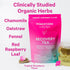 Pink Stork Organic Postpartum Recovery Herbal Tea, Caffeine-Free Red Raspberry Leaf with Chamomile, 15 Sachets,