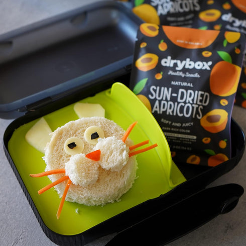 12 Packs, 2 oz Pack, 12 Packs Drybox Unsulfured Sun Dried Turkish Apricots Lunch Unsweetened No Sugar Added, Non-GMO