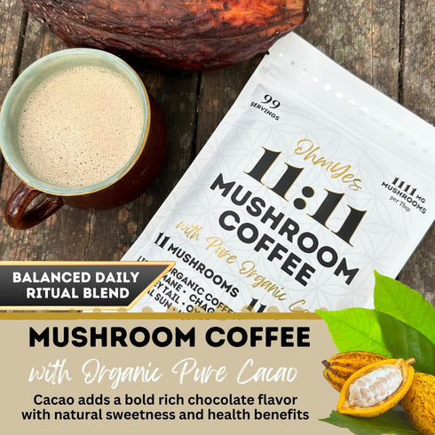 11 7oz OhmYes Mocha Mushroom Coffee with Pure Cacao | Organic Mushroom Adaptogen Blend (Lions Mane, Reishi, Chaga