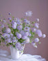 18 Fresh Cut Green Hypericum Berries - Stems