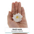 1.75 Inch 10 Count Global Sugar Art Azalea Sugar Cake Flowers White with Wire and Stamen, by Chef Alan Tetreault