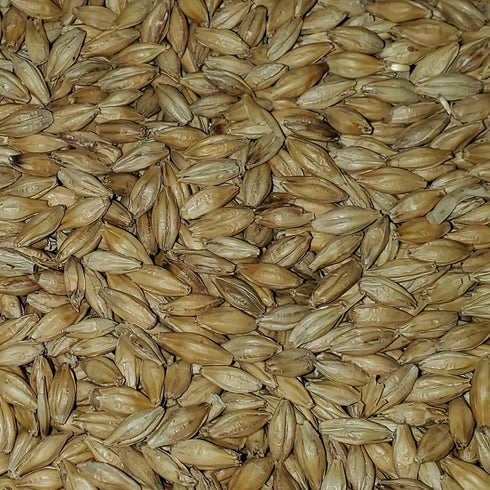 Briess 2-Row 10lbs Brewers Malt for Home Brewing Whole Grain
