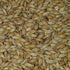 Briess 2-Row 10lbs Brewers Malt for Home Brewing Whole Grain