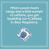 Vallary 16 Oz (Pack 8) Water, Sparkling + Caffeine Blue Raspberry, with Antioxidants and Vitamins, Zero Sugar, Fl