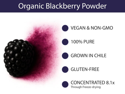 30 (1 1/4 KOYAH - Organic Blackberry Powder: Servings scoop = Cup Fresh): Freeze-dried, Whole-Berry Powder, Raw