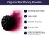 30 (1 1/4 KOYAH - Organic Blackberry Powder: Servings scoop = Cup Fresh): Freeze-dried, Whole-Berry Powder, Raw