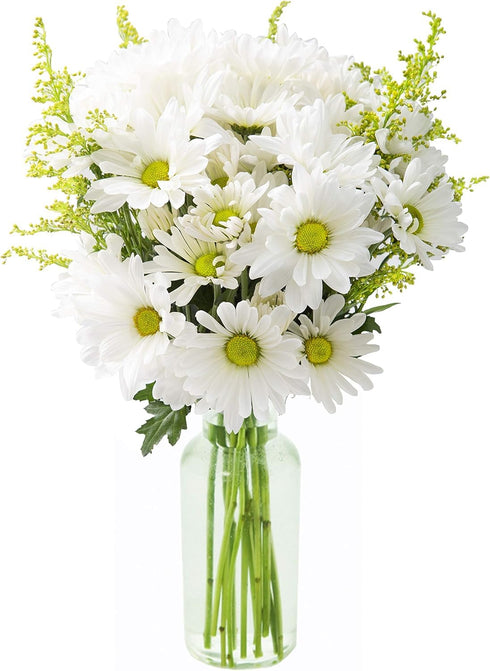 10 KaBloom - White Daisy with Yellow aster - Fresh Flowers for Birthday, Valentine's & Mother's Day