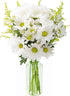 10 KaBloom - White Daisy with Yellow aster - Fresh Flowers for Birthday, Valentine's & Mother's Day