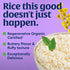 32 Lundberg Family Farms Organic Jasmine Rice, California White, Ounce
