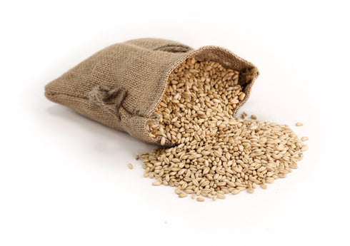 (2 lbs) Royal Lee Organics Organic Soft White Wheat Berries