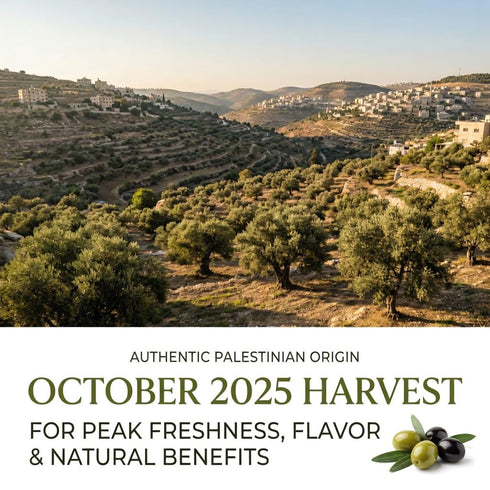 750mL 2025/6 100% Holy Land Goods Palestinian Extra Virgin Levantine Olive Oil Polyphenol Rich, Harvest, glass bottle