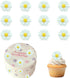 Etwgbaby 15 PCS Daisy Cupcake Toppers Little White Daisies Flowers Cake Decorations Picks