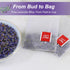40 Count TEARELAE - Lavender Tea, - Premium Dried Lavender Flower Tea Bags for Stress Relief - Aromatic Wellness