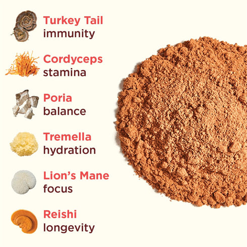 Rasa (6 oz 14 Magnificent Mushrooms Hot Chocolate | Adaptogenic Hot Cocoa Mix, Made With Organic Cacao and Organic