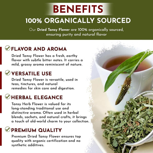 Albania (2 Oz) Organic Dried Tansy Flower Herb Tea Cut & Sifted | European Wild-Crafted | Organic & Kosher Certified |