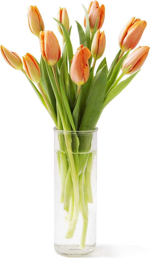 KaBloom PRIME NEXT DAY DELIVERY - Fall Collection - Bouquet of Fresh