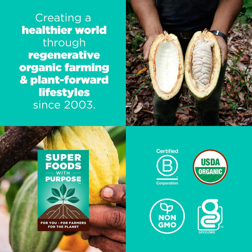 (8oz. 11 Navitas Organics Chocolate Brownie Superfood+ BITES Power Snacks All Natural Plant Based Clean Energy