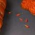 10.9 oz Sanniti Bomba Calabrese Hot Spread, | Italian Hot Spread