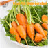 (1.76 oz 50 MAHUXIANG Organic Carrot Powder / g) Single-Ingredient Carrot Powder for Baking, Cooking & Beverages, No