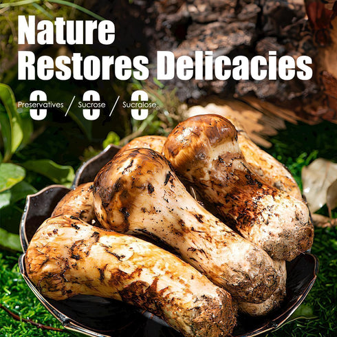 Preservatives/MSG(100% 12 Oz Vegetarian Matsutake Oyster Sauce - Gluten Free, Vegan, Non-GMO, No Naturally Brewed)