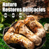 Preservatives/MSG(100% 12 Oz Vegetarian Matsutake Oyster Sauce - Gluten Free, Vegan, Non-GMO, No Naturally Brewed)