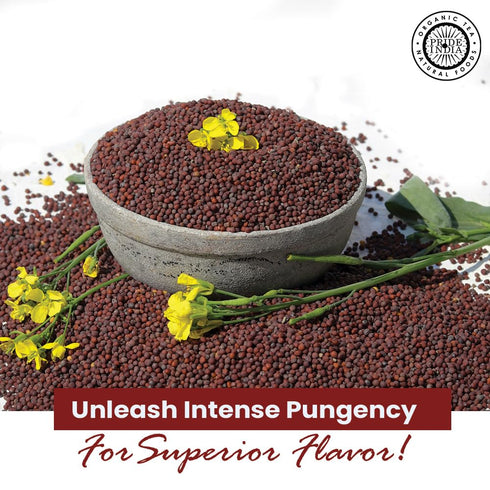 3 oz Pride of India Black Mustard Seeds | Whole Mustard Seed Indian Spice for Cooking & Pickling | Pungent Flavor