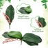 DPWOUM 1 8 InchOrchid piece Green Faux Orchid Leaves Leaves Leaves Real Touch Phalaenopsis Stems Faux Cymbidium Flower