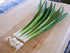Generic Onion3 Fresh Green bundles -Produce of USA (endless green onion supplies by replanting the root)