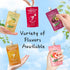 Pack 0 10 Pack Hethstia Konjac Jelly Drinkable Pouch Variety - Low Calorie, Sugar, Gluten-Free, Collagen Peptides